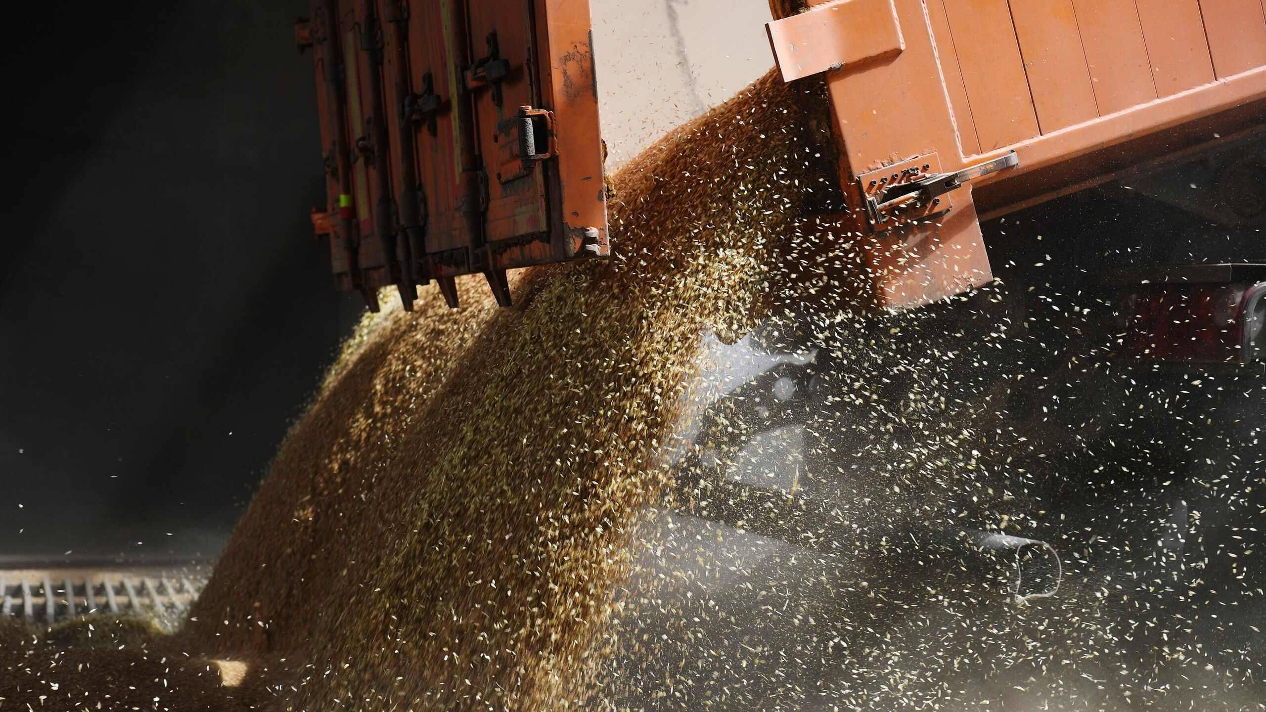 1 5 млн тонн. Экспорт зерна. Экспорт пшеницы. Зерно в портах. Зерновой поток.
